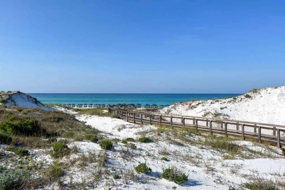 Inlet Beach 63
