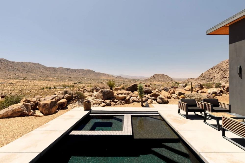Joshua Tree 83
