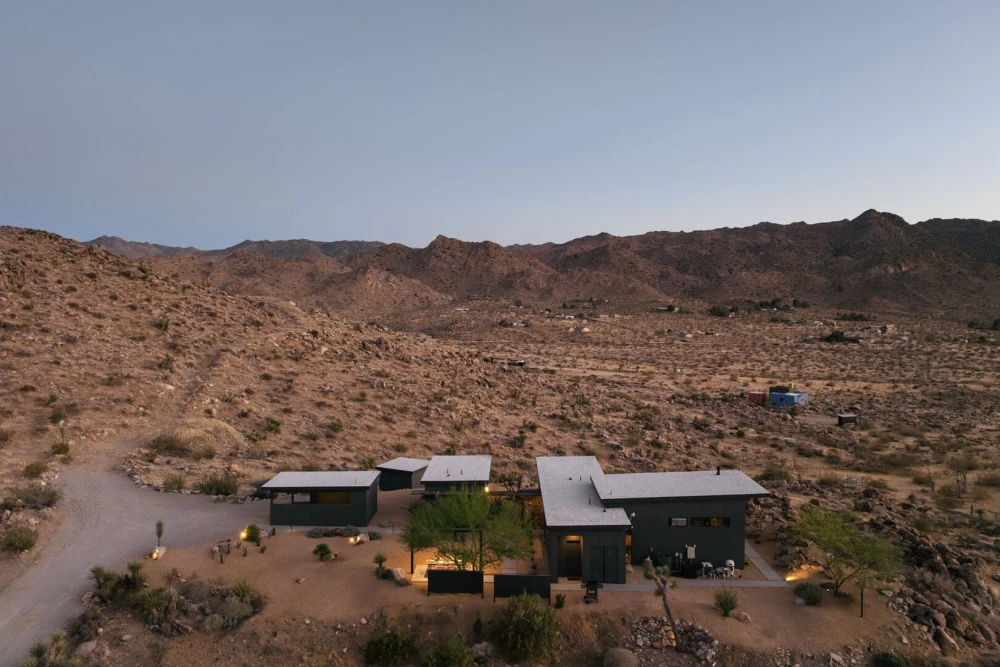 Joshua Tree 83