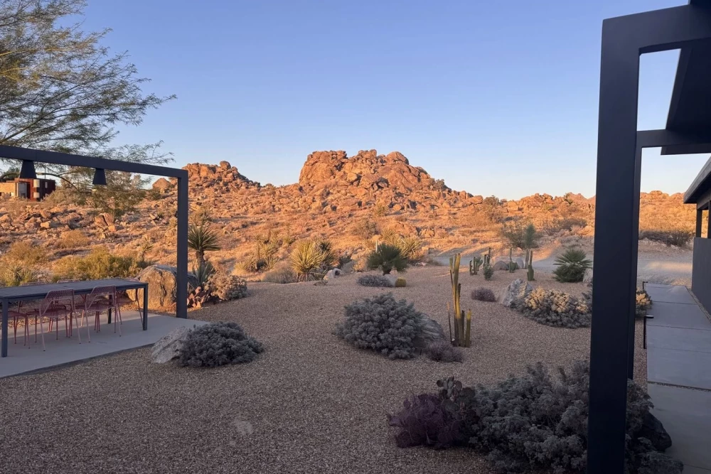Joshua Tree 83