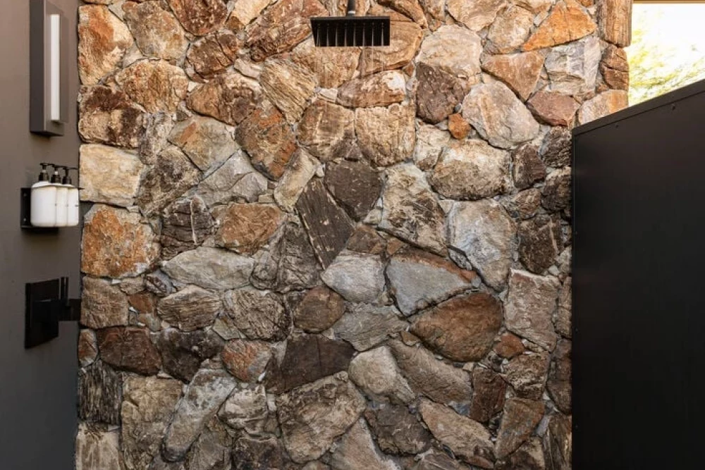 Joshua Tree 83