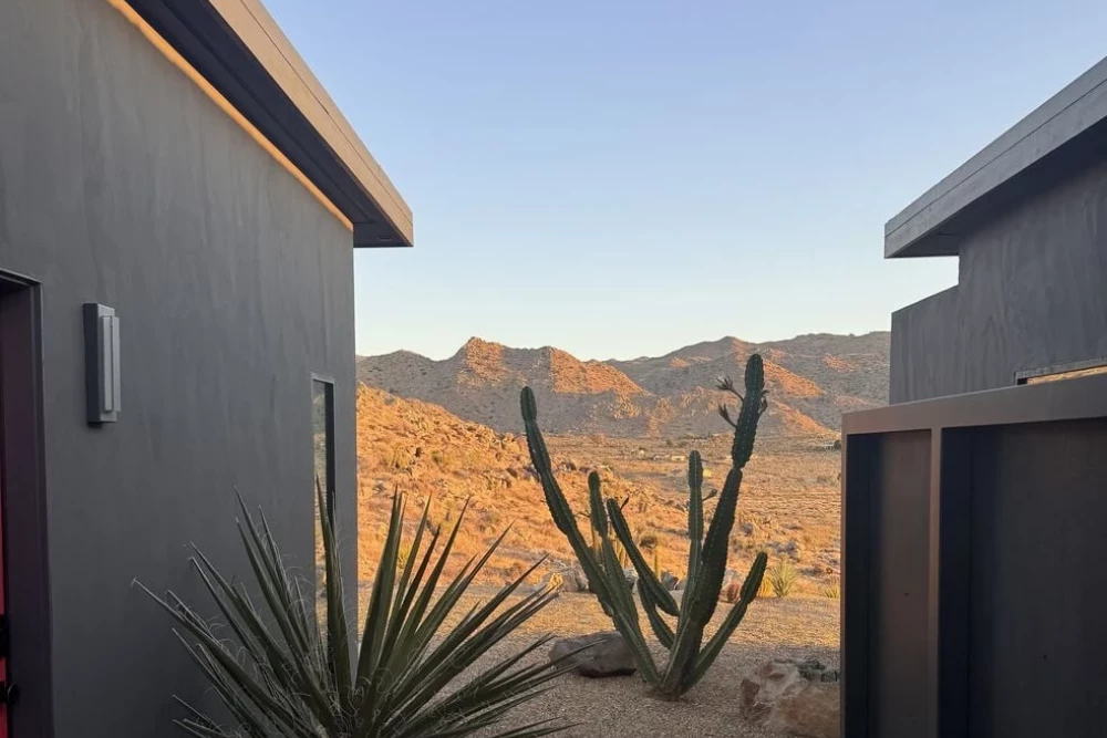 Joshua Tree 83