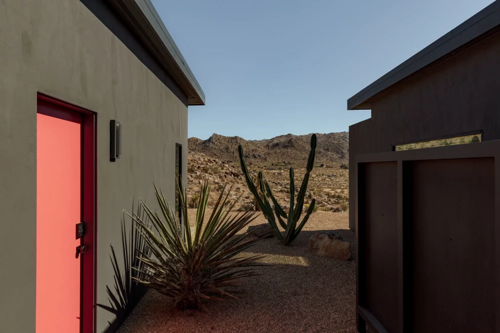 Joshua Tree 83