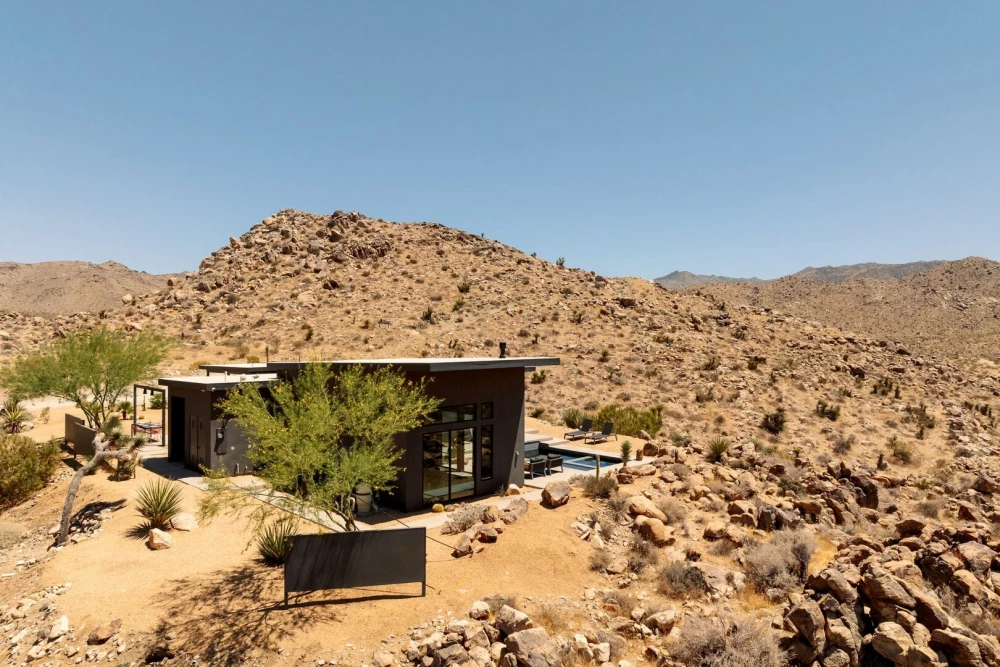 Joshua Tree 83
