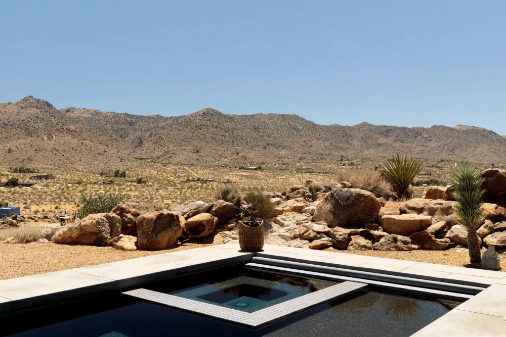 Joshua Tree 83