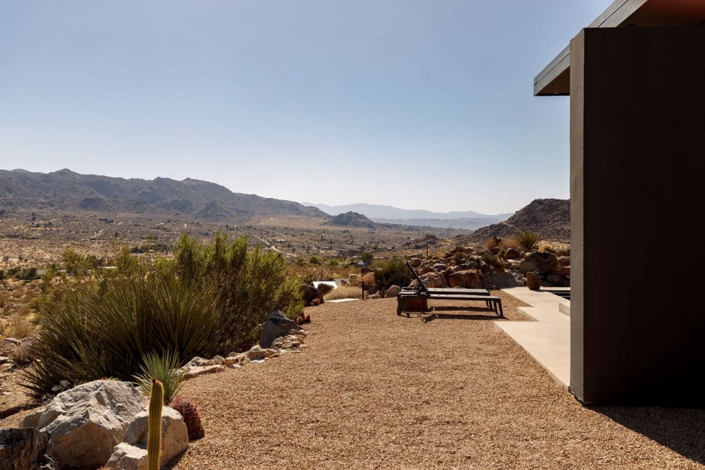Joshua Tree 83