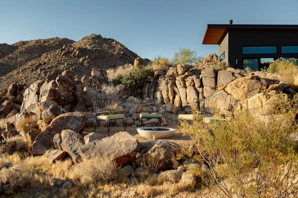 Joshua Tree 83