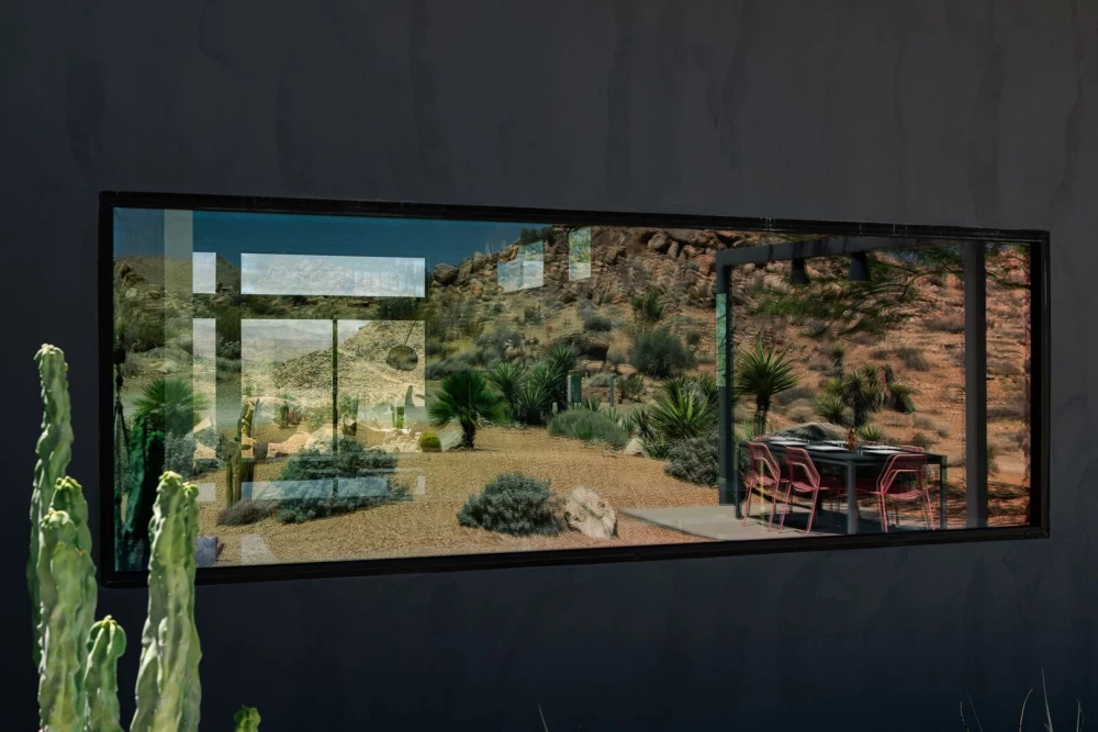 Joshua Tree 83