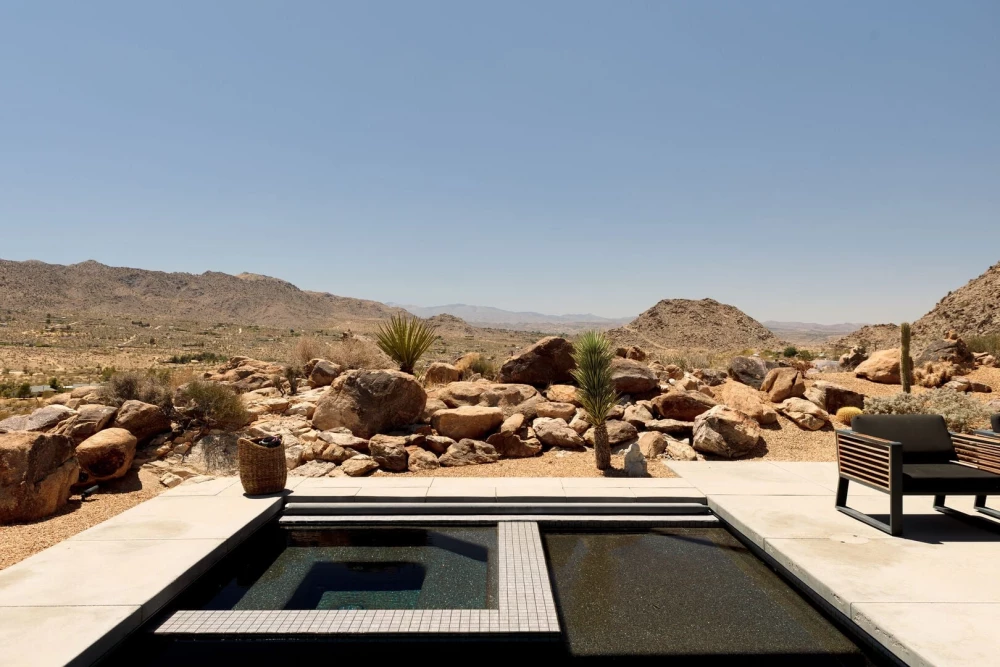 Joshua Tree 83