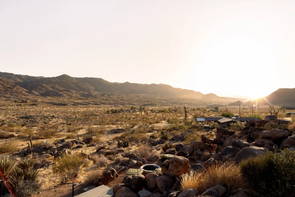 Joshua Tree 83