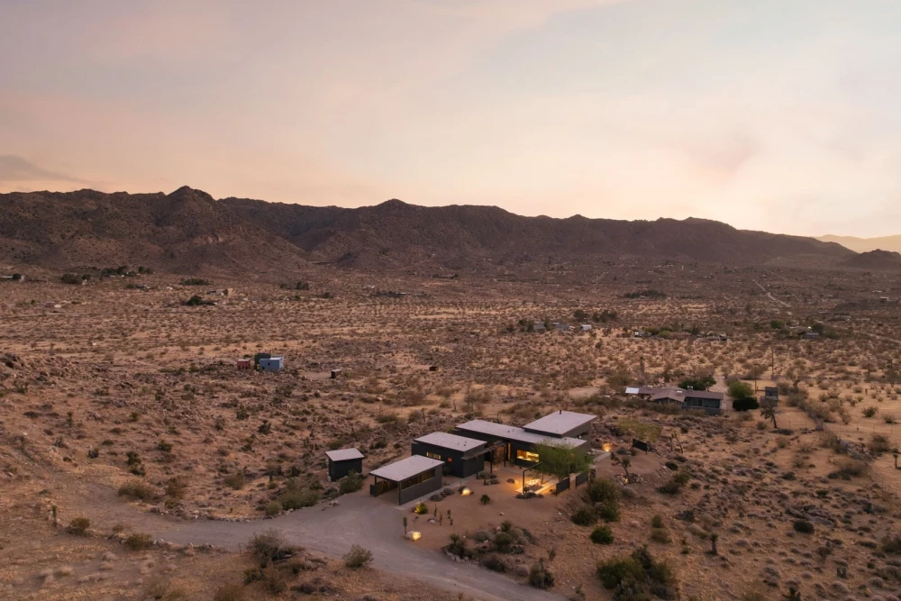 Joshua Tree 83