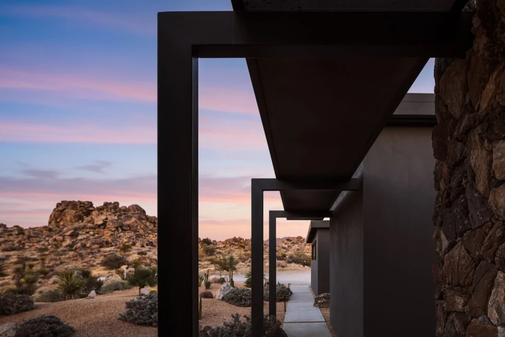 Joshua Tree 83