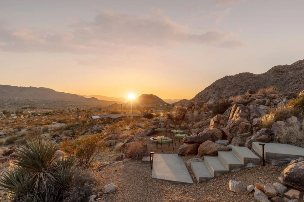 Joshua Tree 83
