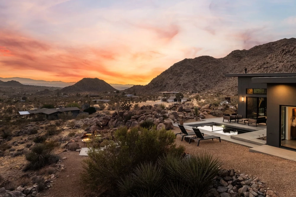 Joshua Tree 83