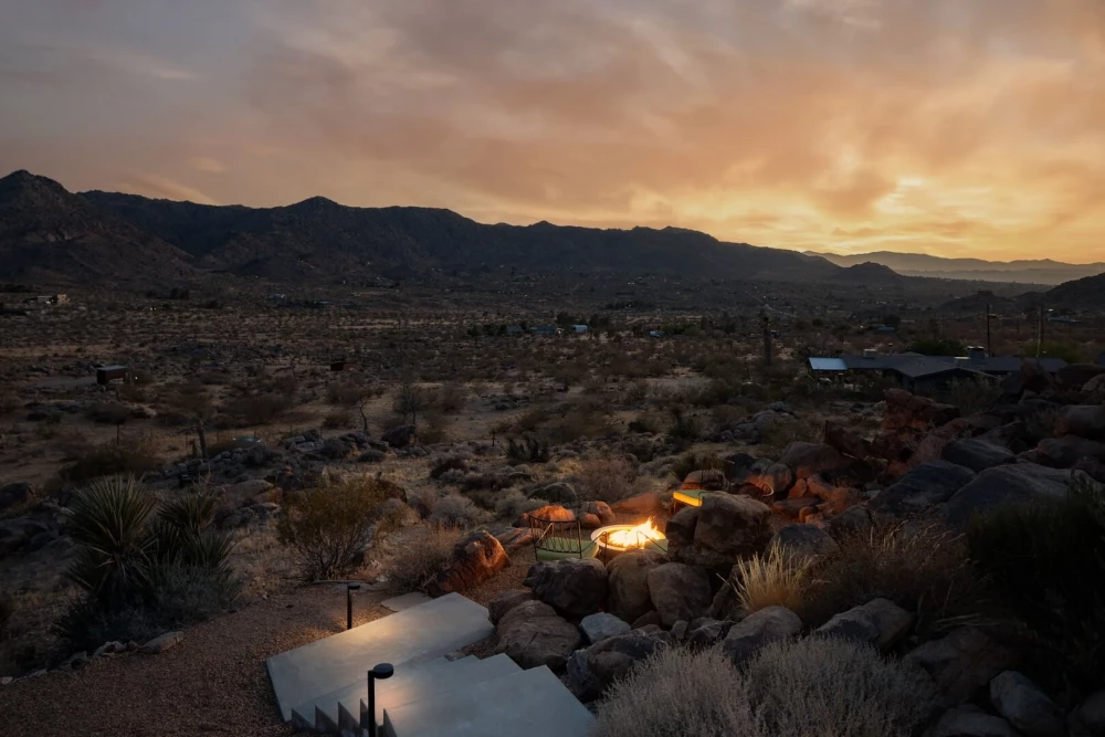 Joshua Tree 83