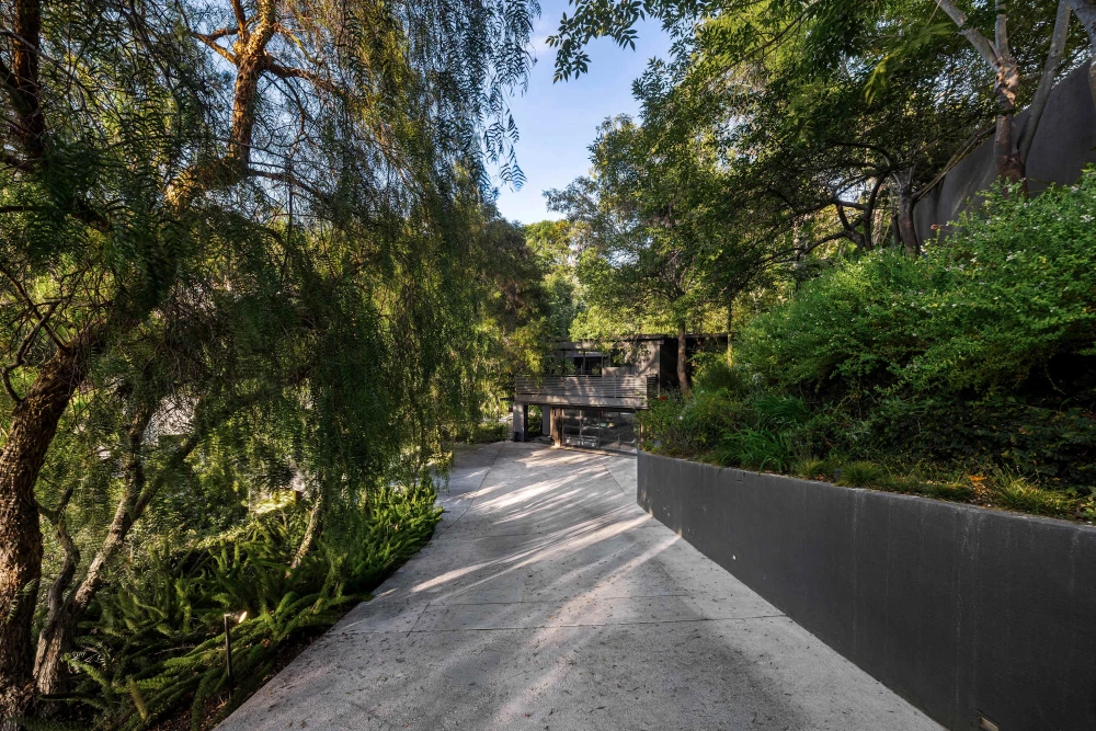 Hollywood Hills 9