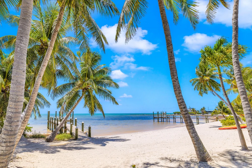 Islamorada 11