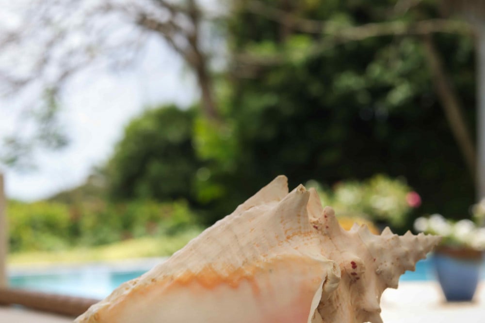 Royal Westmoreland - Villa Rosa