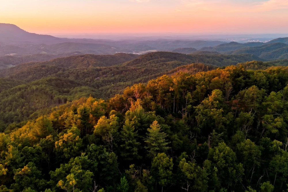 Sevierville 281