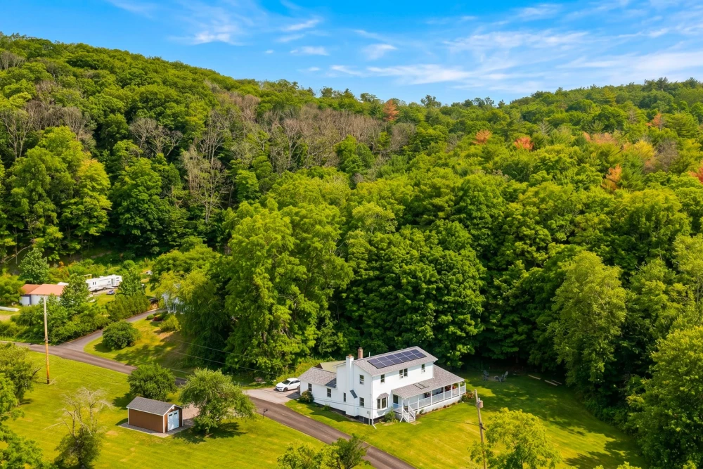 Catskill 16