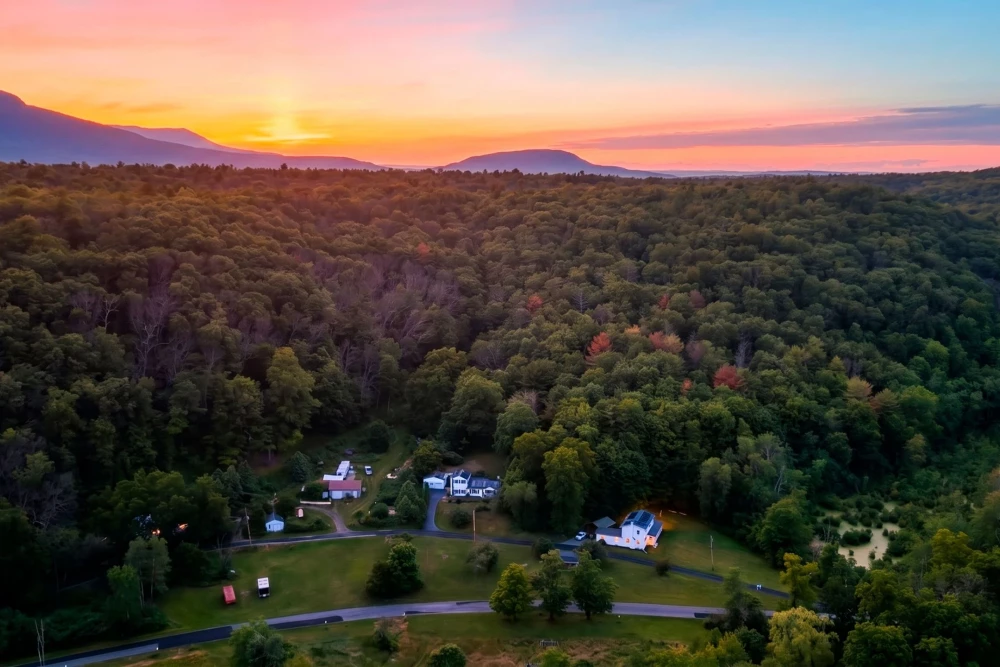 Catskill 16