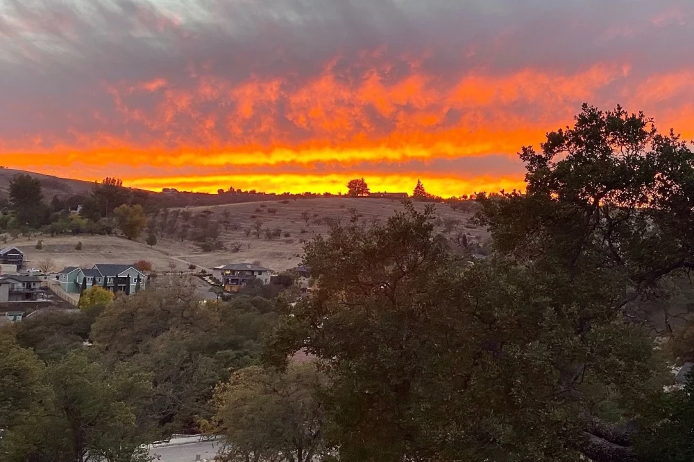 Paso Robles 35