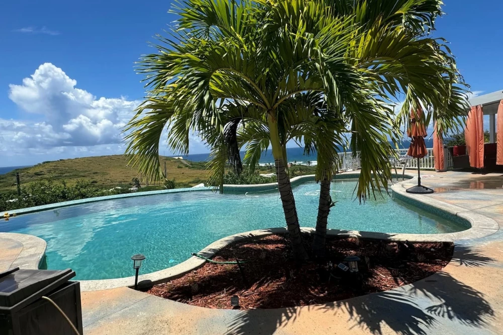 Hook 'em on Paradise