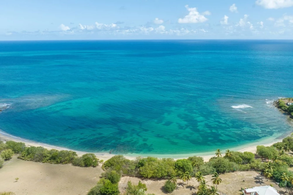 Buck Island Views