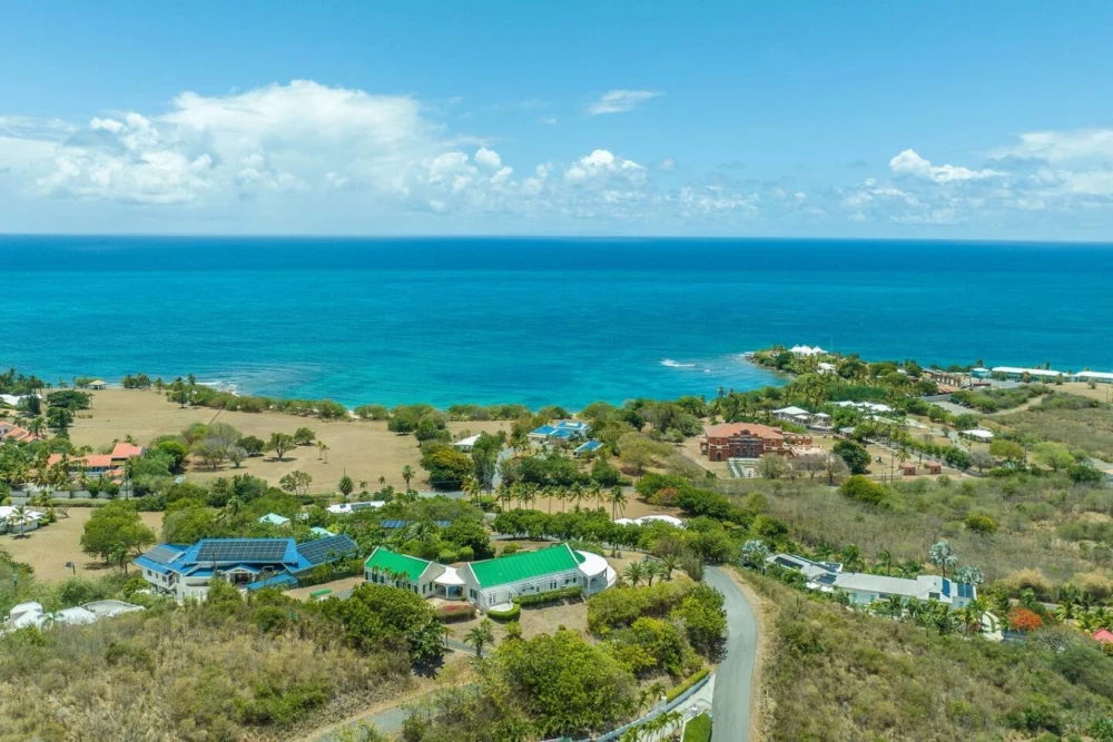 Buck Island Views