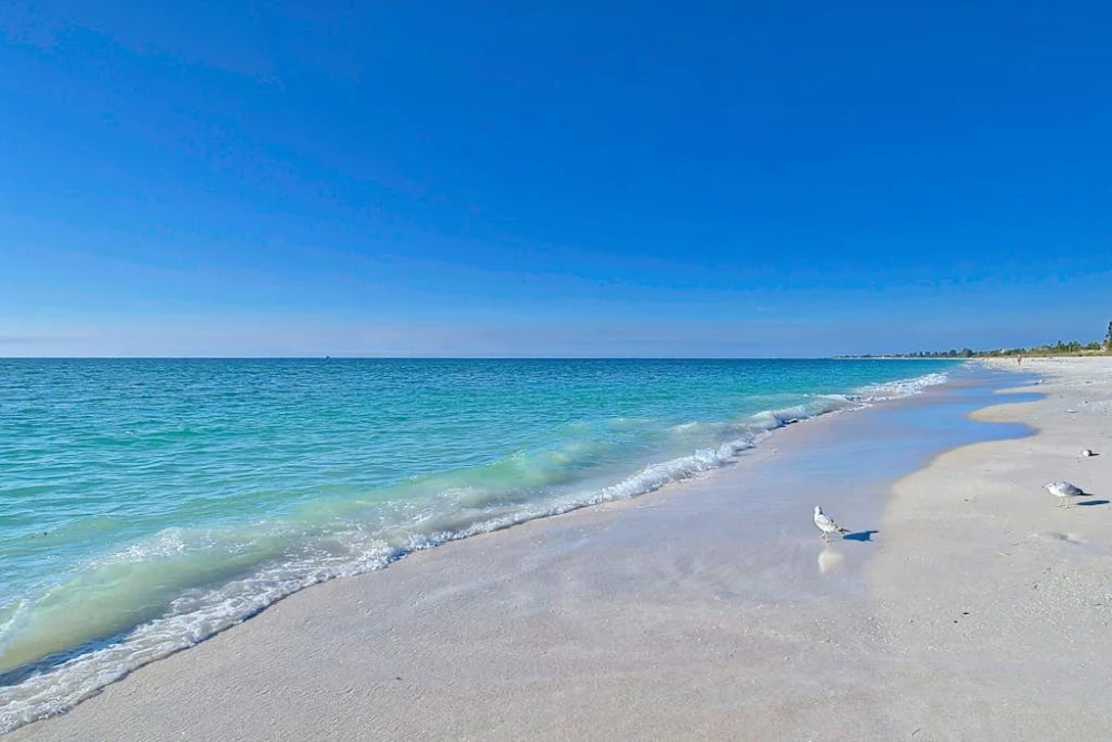 Sarasota 38
