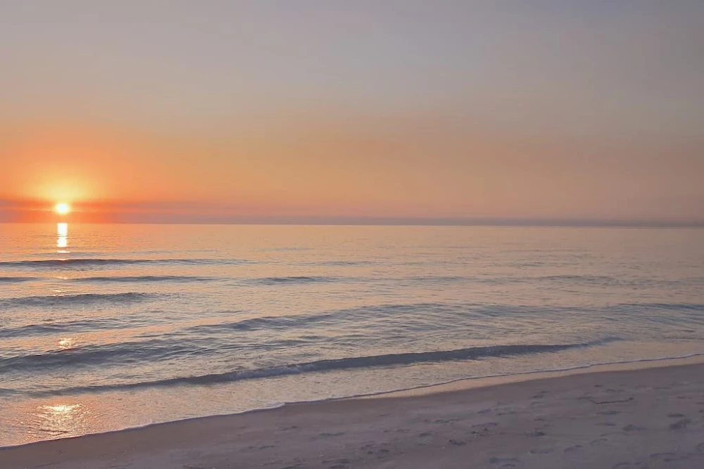 Sarasota 38