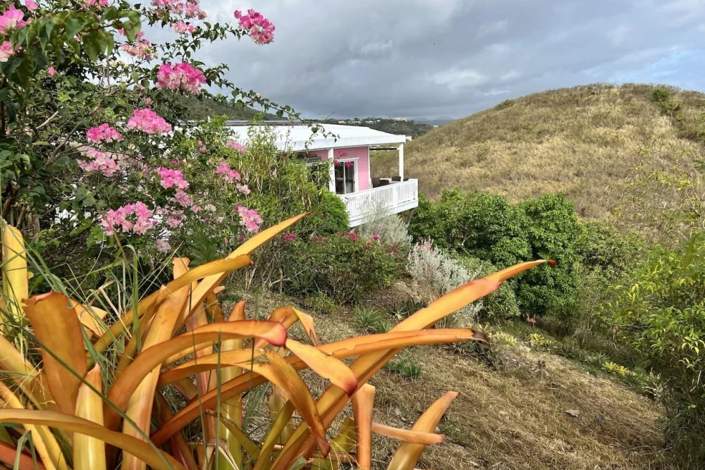 Bananaquit Bungalow