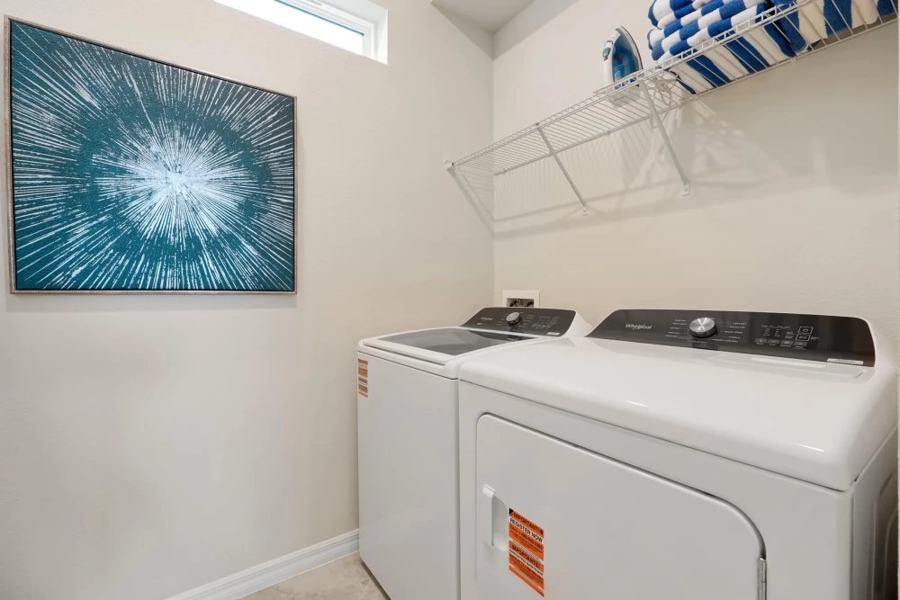 Windsor Cay 349