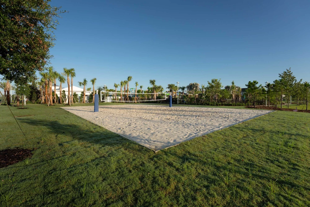 Windsor Cay 349