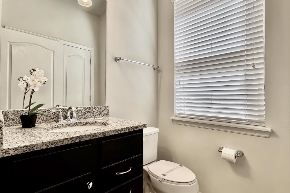 Windsor at Westside 86