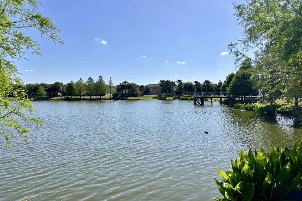 Windsor at Westside 86