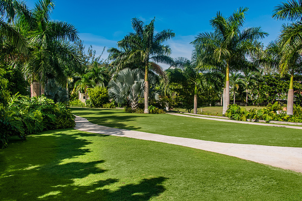 Everything Nice by the Sea