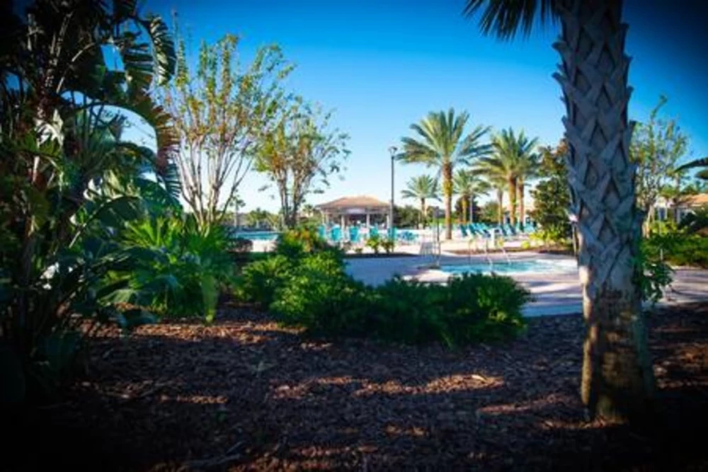 Championsgate 433