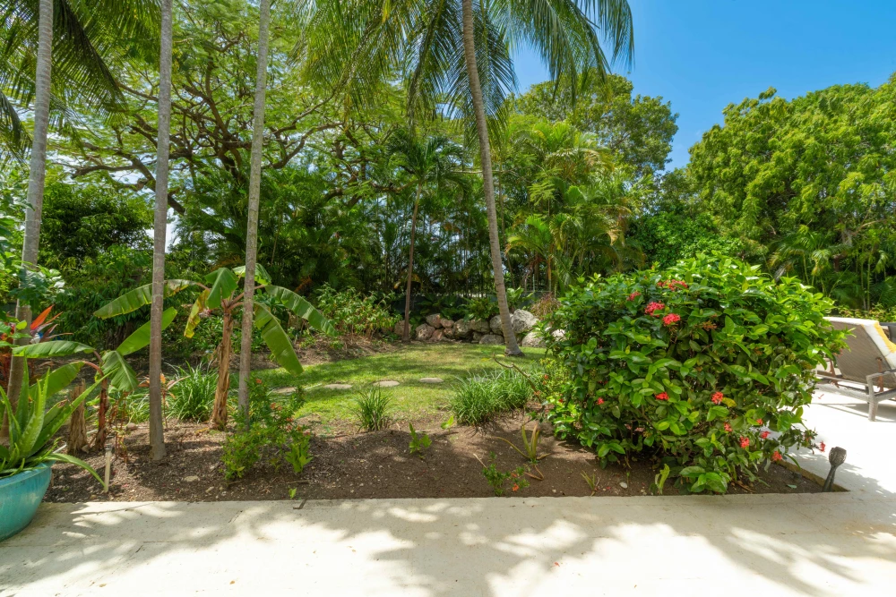 Sandy Lane - Jamoon