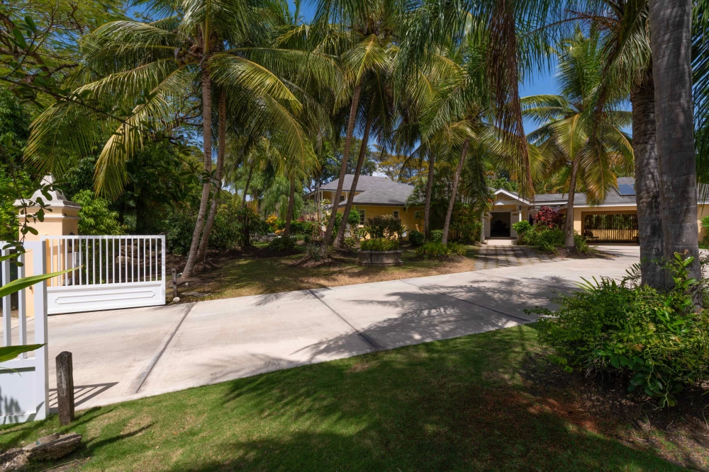 Sandy Lane - Jamoon