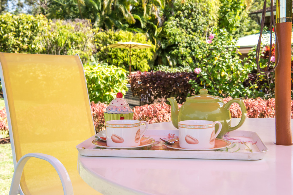 Thespina - Church Point