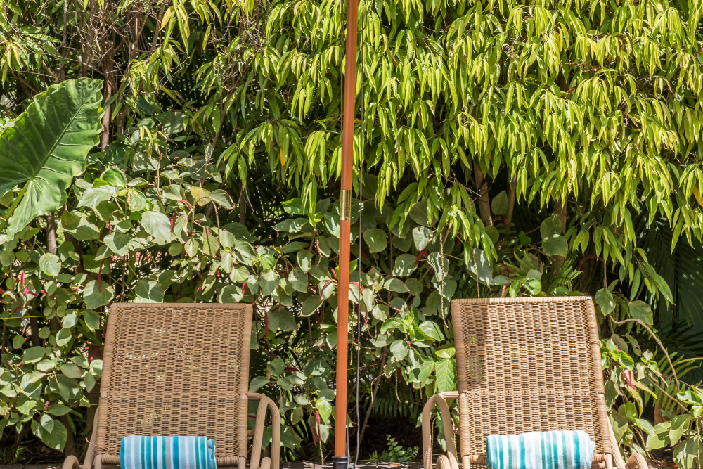 Thespina - Church Point