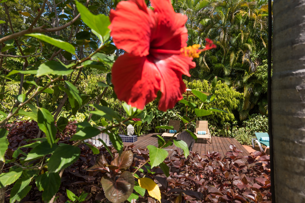 Thespina - Church Point