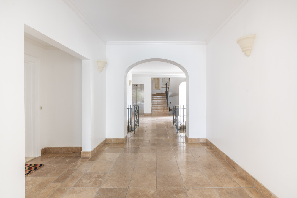 Schooner Bay 203 - Lusca