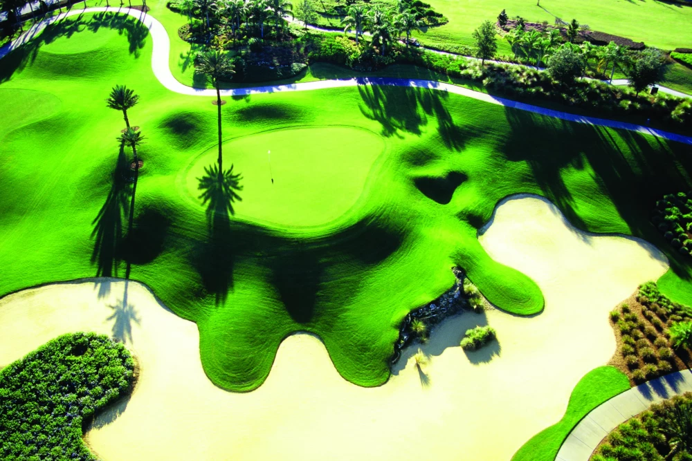 Bears Den 30