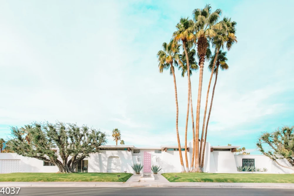 Palm Springs 9