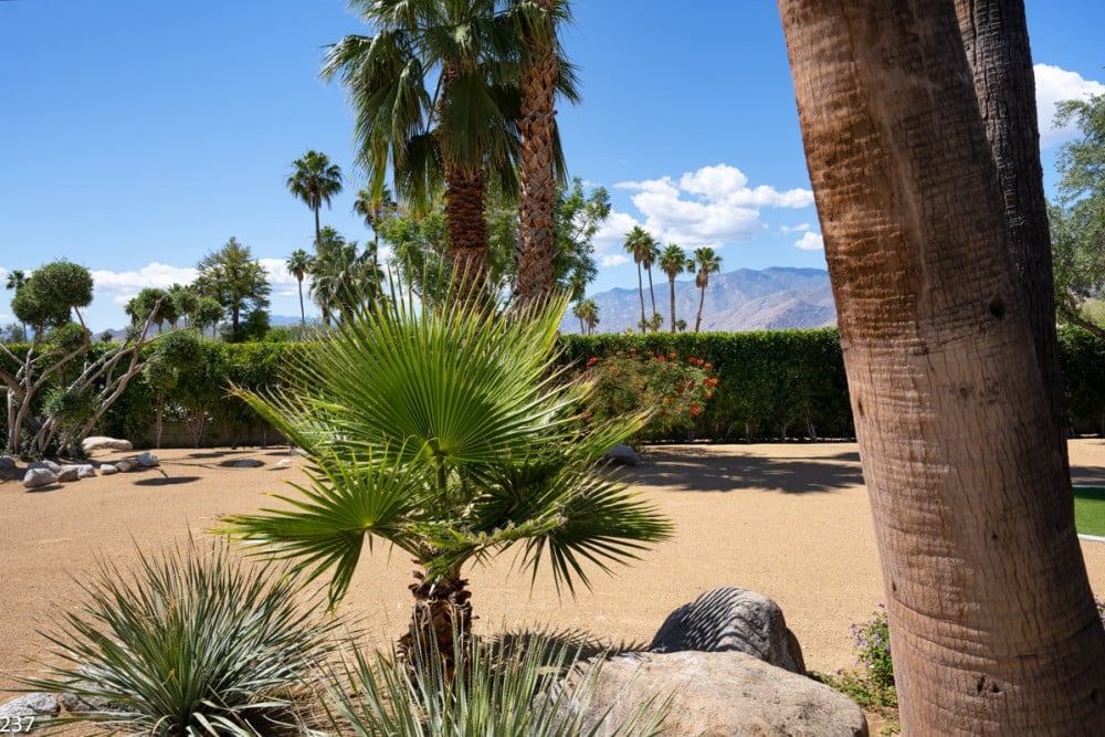 Palm Springs 14