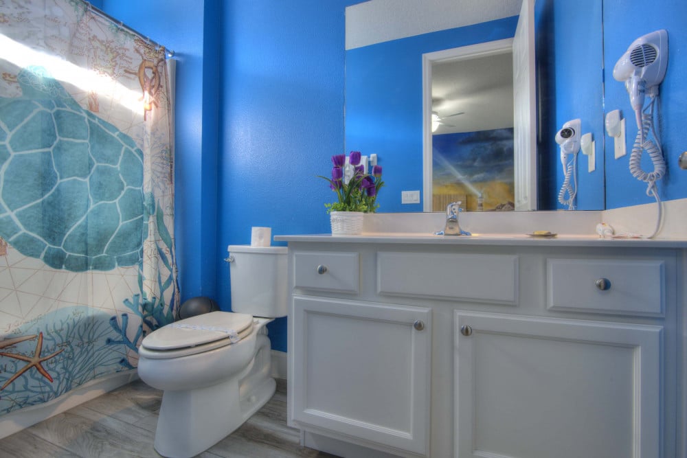 America the Beautiful