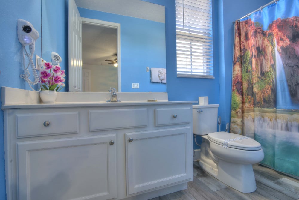 America the Beautiful