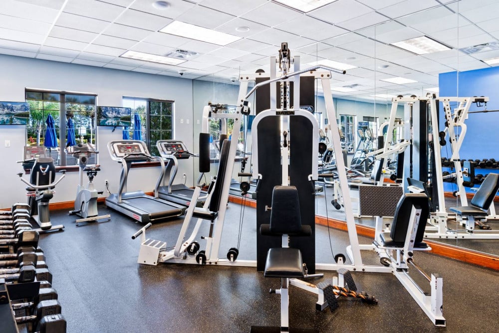 Paradise Palms Resort 286